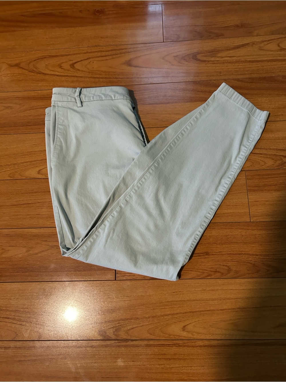 Birddogs Light Sage Chinos - Slim Casual Pants